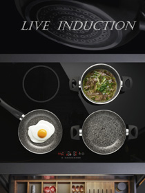 linea-live-induction